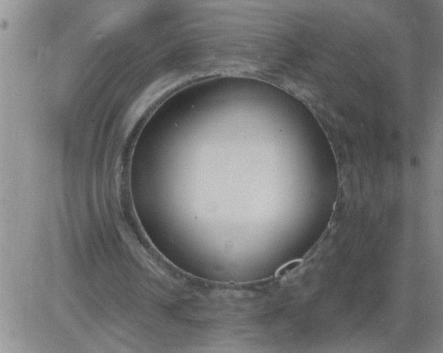 X0000083990242200703021947