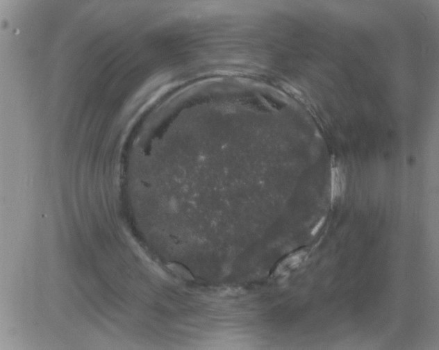 X0000083990243200703021947