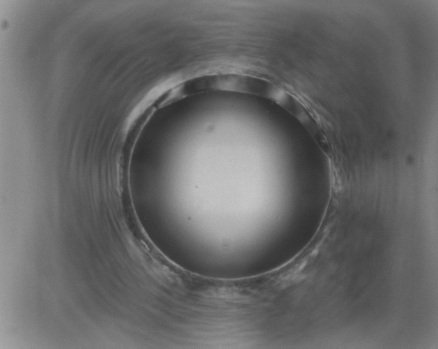 X0000083990244200703021947