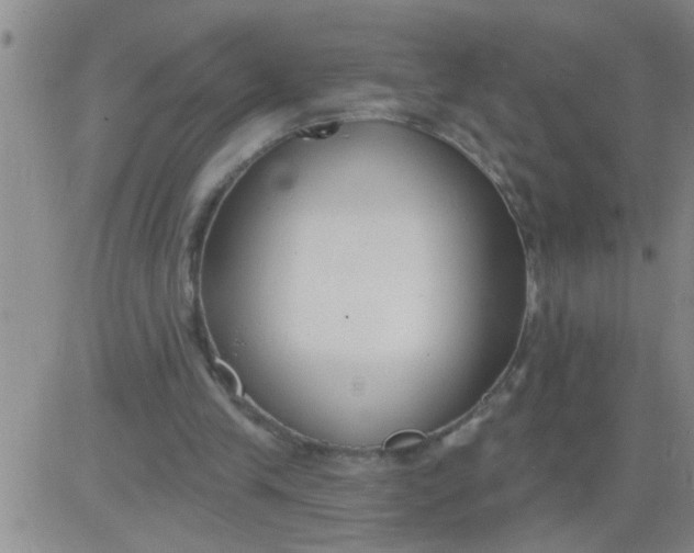 X0000083990245200703021947