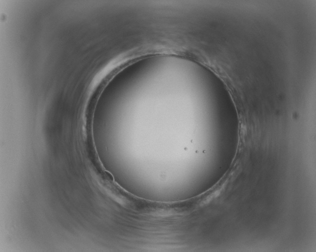 X0000083990246200703021947