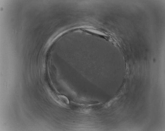 X0000083990247200703021947