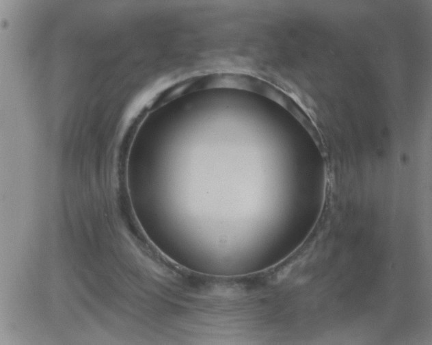 X0000083990248200703021947