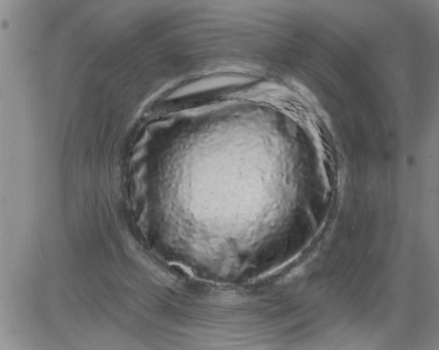 X0000083990249200703021947