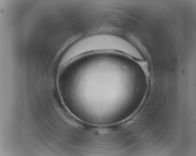 X0000083990250200703021947