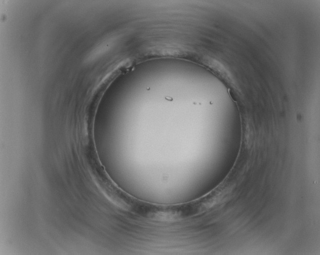 X0000083990251200703021947