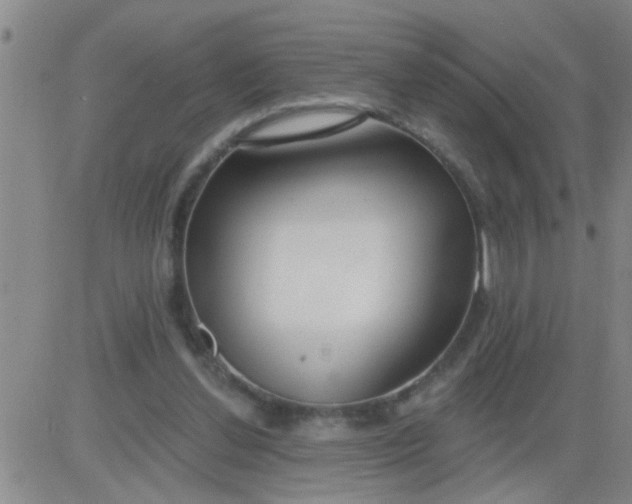 X0000083990252200703021947