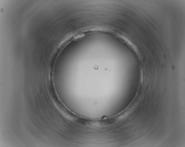 X0000083990253200703021947