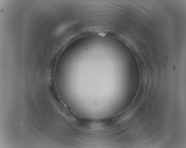 X0000083990255200703021947