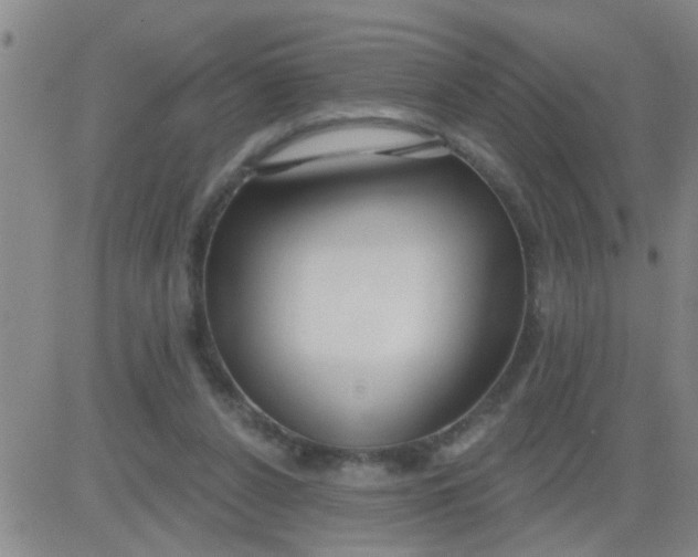 X0000083990256200703021947