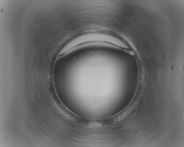 X0000083990257200703021947