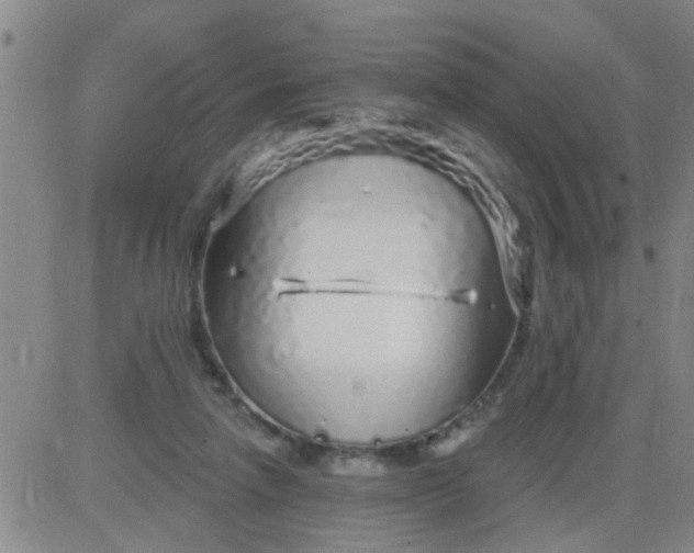 X0000083990258200703021947