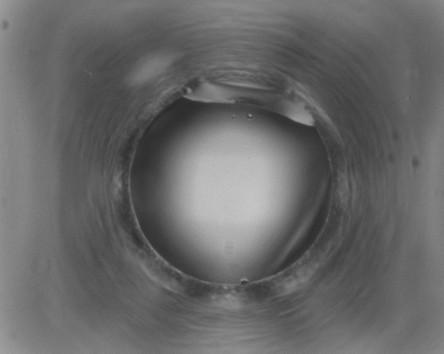 X0000083990259200703021947