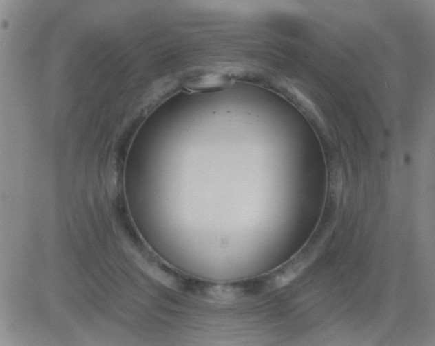 X0000083990261200703021947