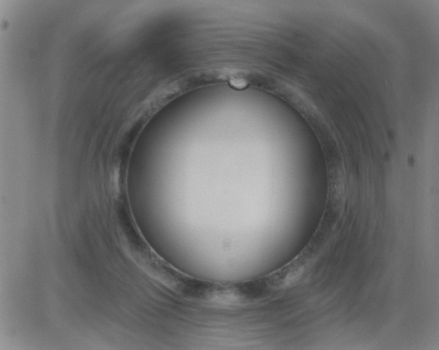 X0000083990262200703021947