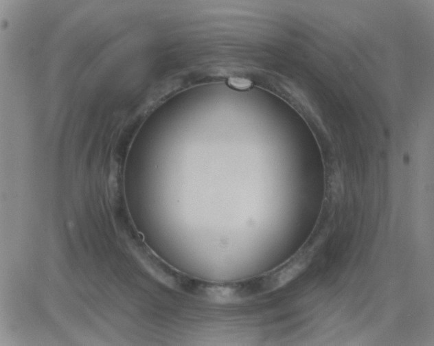 X0000083990265200703021947