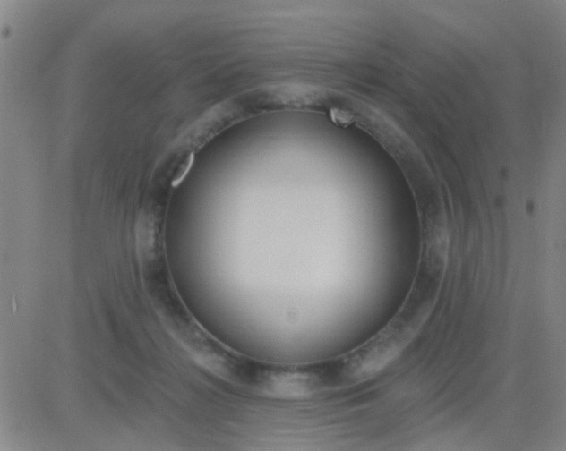 X0000083990268200703021947