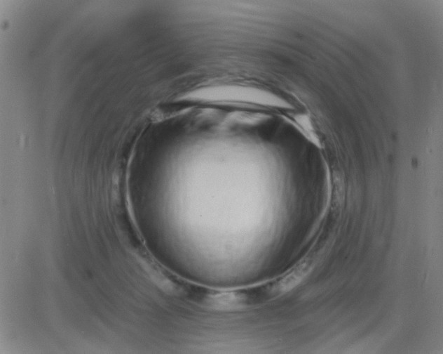 X0000083990269200703021947