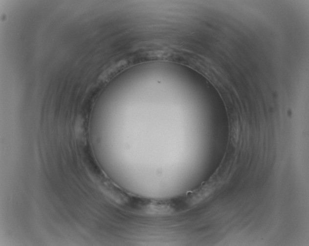 X0000083990270200703021947