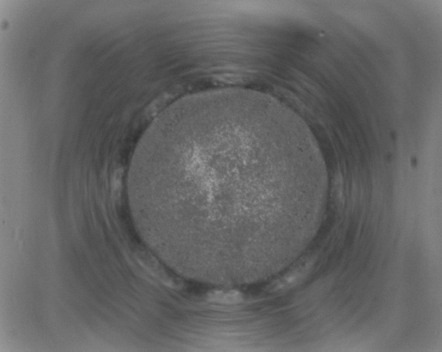 X0000083990271200703021947