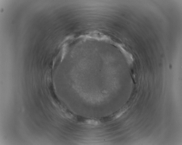 X0000083990272200703021947