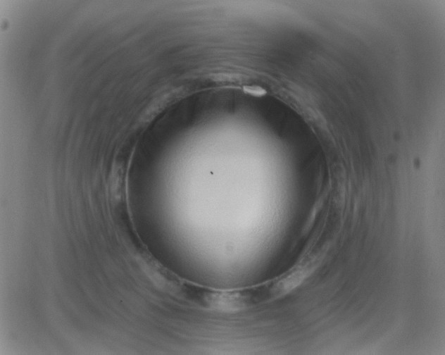 X0000083990273200703021947