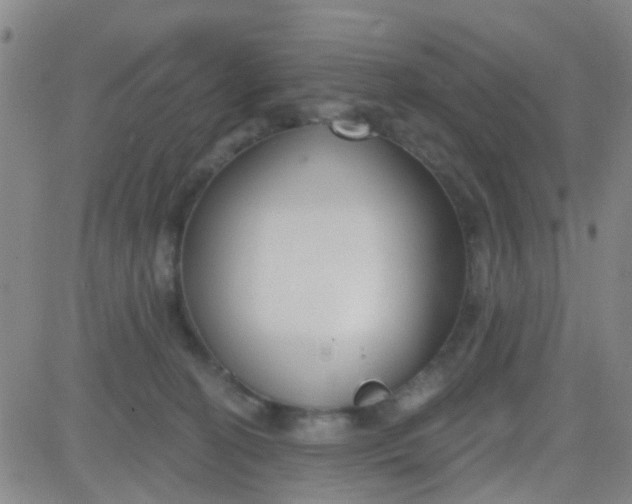 X0000083990274200703021947