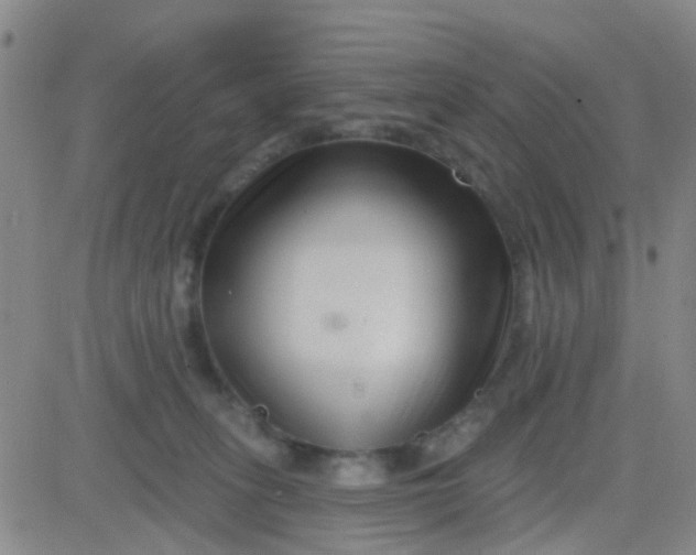 X0000083990275200703021947