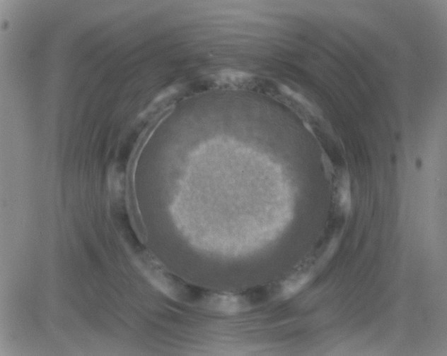 X0000083990276200703021947