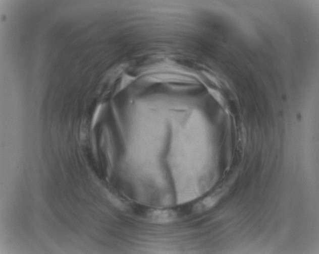 X0000083990277200703021947