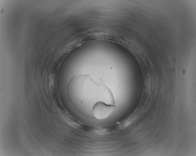 X0000083990278200703021947