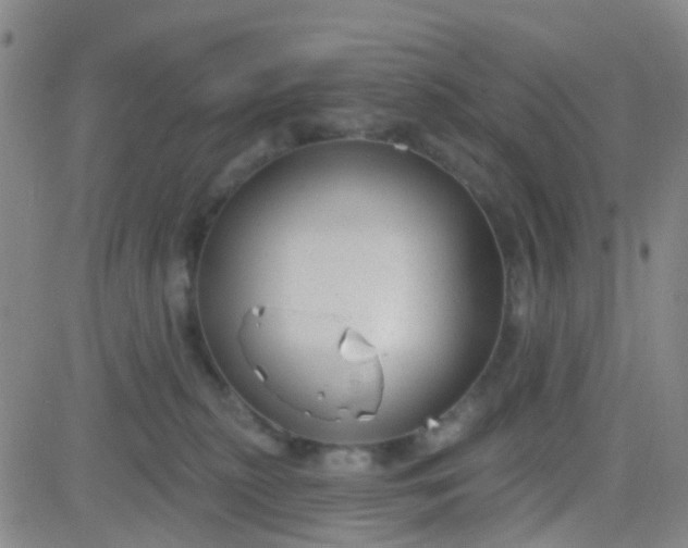 X0000083990279200703021947