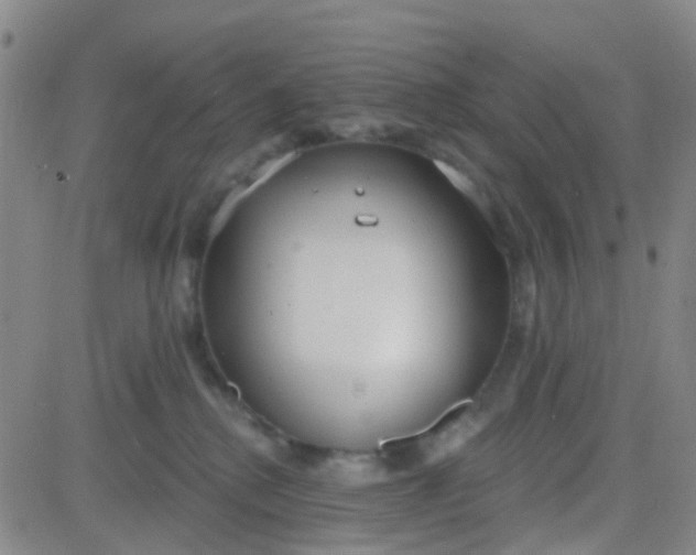 X0000083990280200703021947