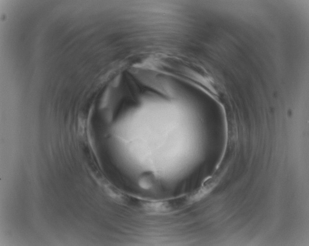 X0000083990281200703021947