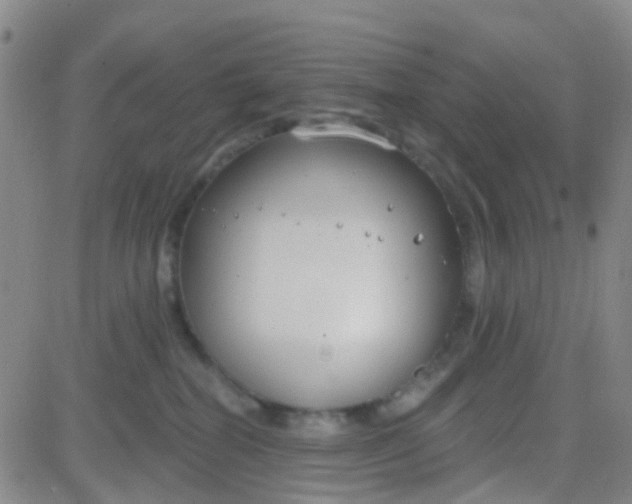 X0000083990282200703021947