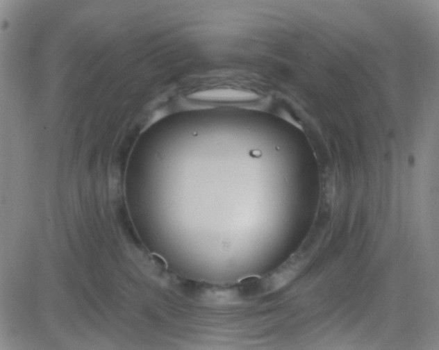 X0000083990283200703021947