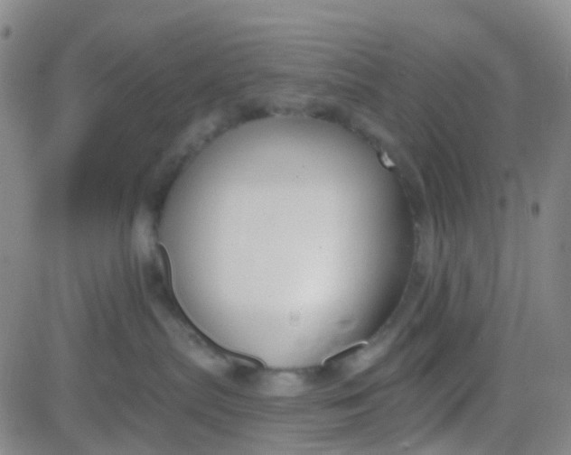 X0000083990287200703021947