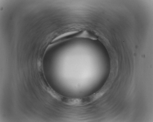 X0000083990288200703021947