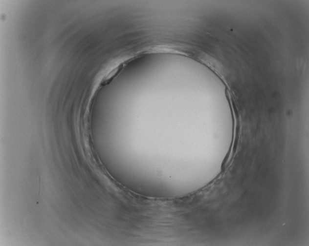 X0000083990289200703021946