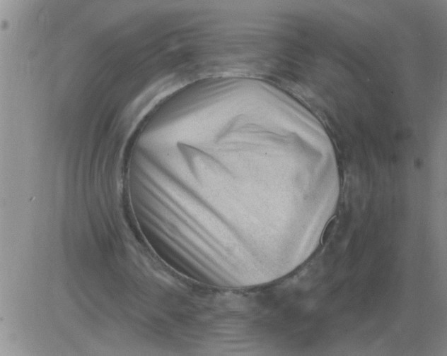 X0000083990290200703021946