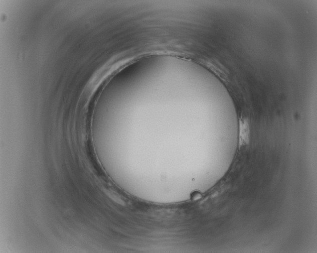 X0000083990291200703021946