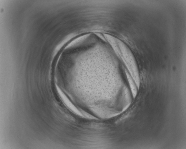 X0000083990292200703021946