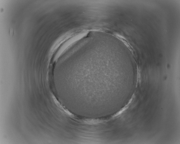 X0000083990293200703021946