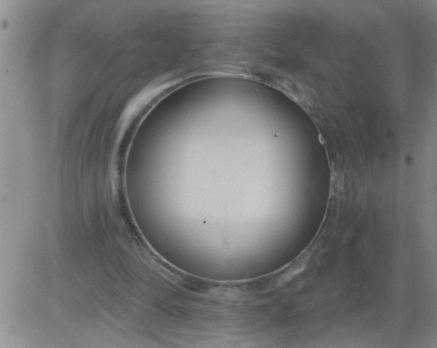 X0000083990294200703021946