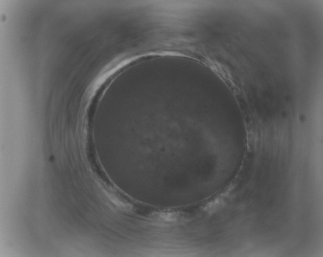 X0000083990295200703021946