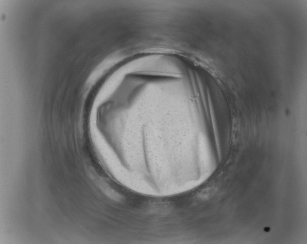 X0000083990296200703021946