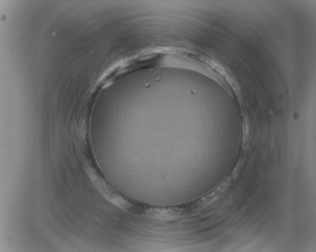 X0000083990297200703021946