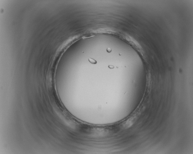 X0000083990298200703021946