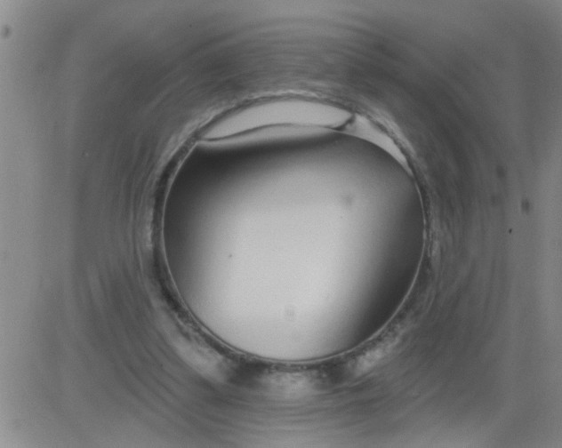 X0000083990299200703021946