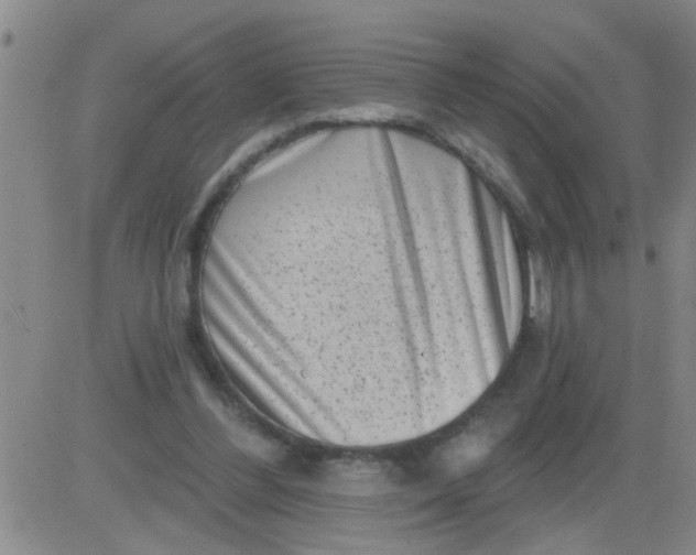 X0000083990300200703021946